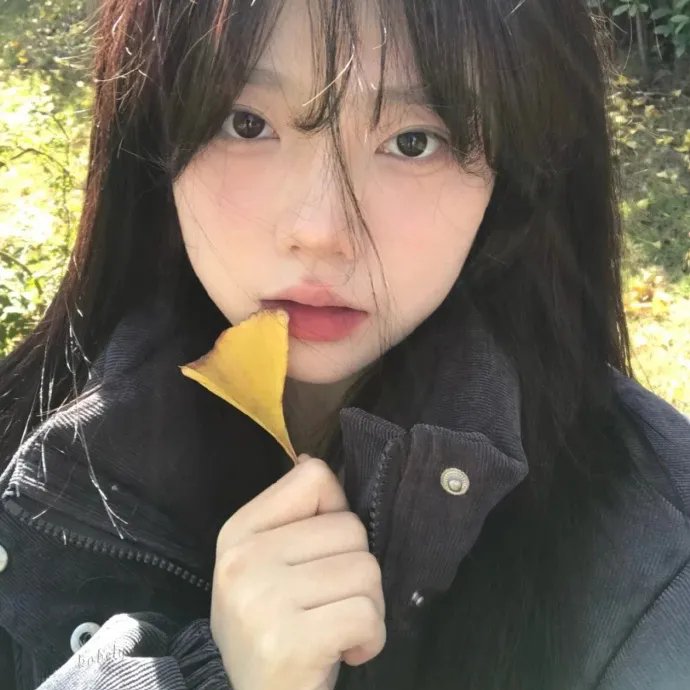 对立而已 封面